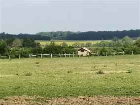 IMG_20250425_160049_800x600