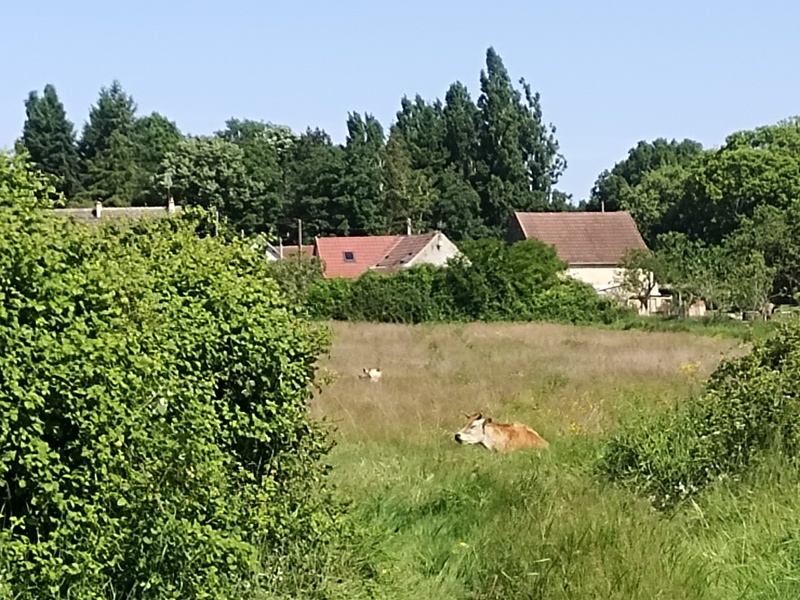 IMG_20250520_104939_800x600 ©fermeducaroire