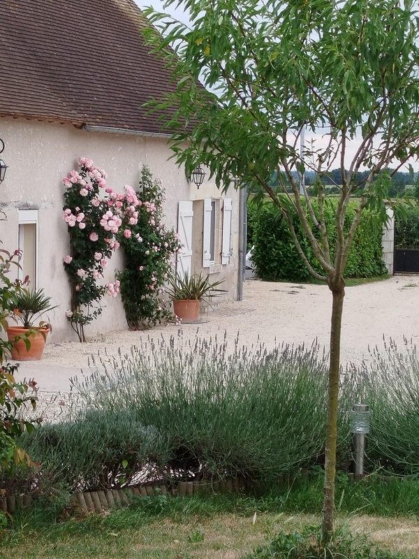 Le Clos de la Fosse aux Loups 2 Stéphanie Presteau