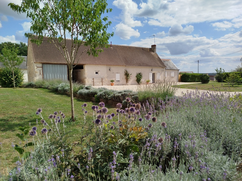 Le Clos de la Fosse aux Loups 1 Stéphanie Presteau