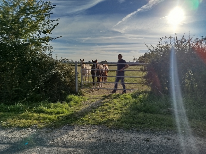 Le Clos de la Fosse aux Loups 8 Stéphanie Presteau