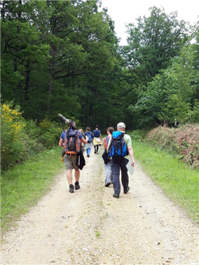 Initiationauxchantsd'oiseaux