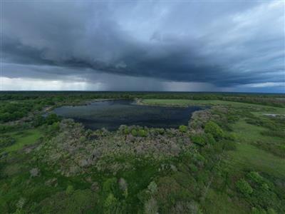 Juin - Pisseloup - N Van Ingen