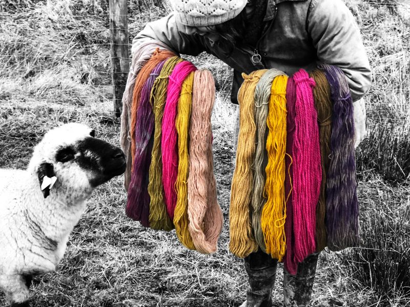 Kate-and-Ponyo-coloured-yarn-landscape 