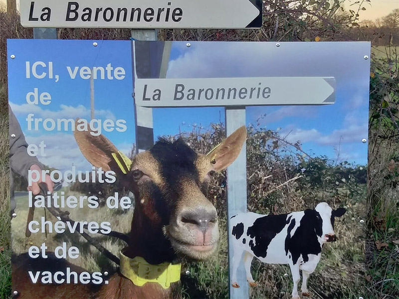 La-Baronnerie-4 