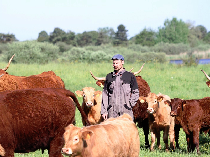 La-carriere-Rosnay Droits réservés