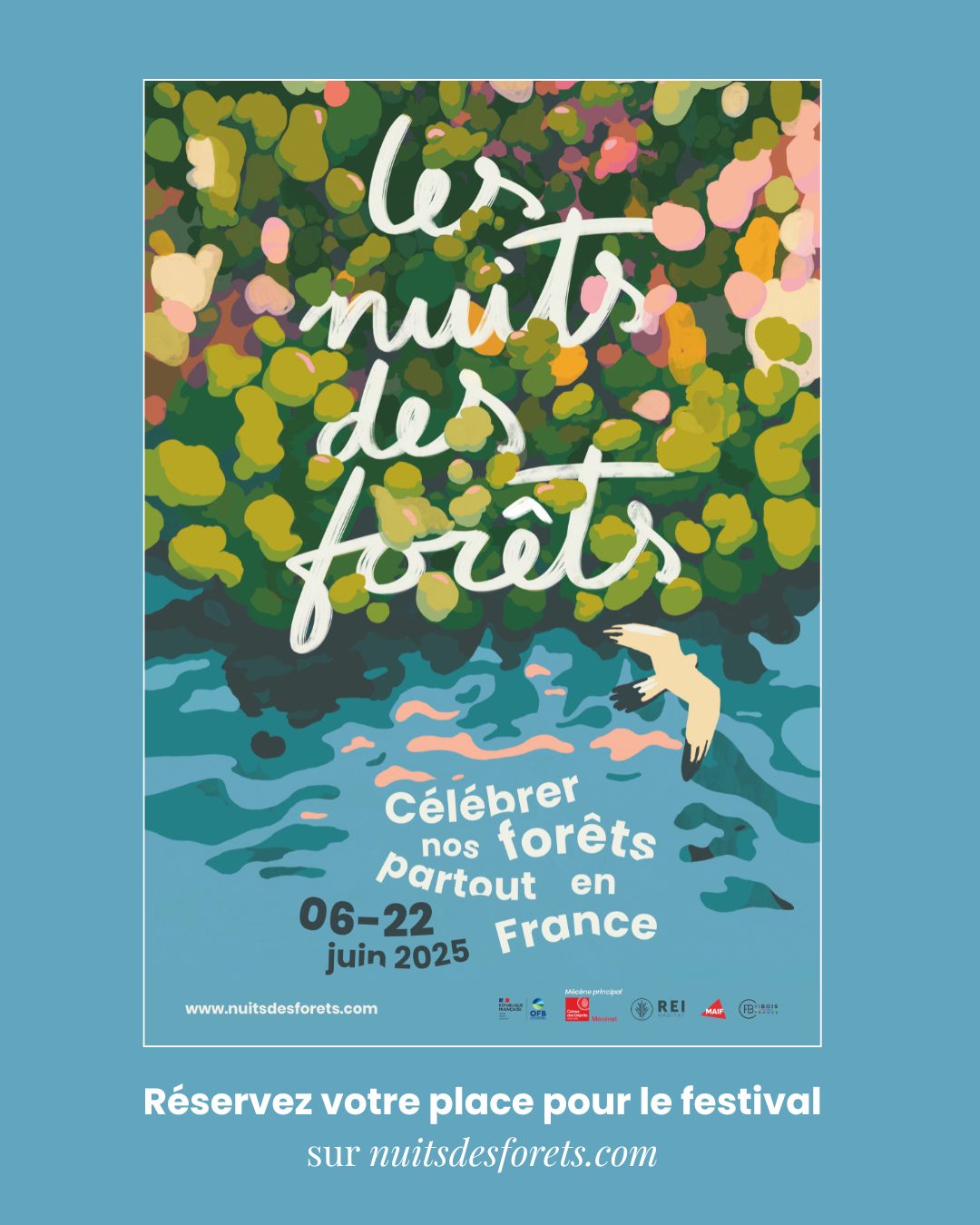 La nuit des forêts 2025 © La nuit des Forêts