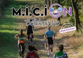 Micion-Bellebouche