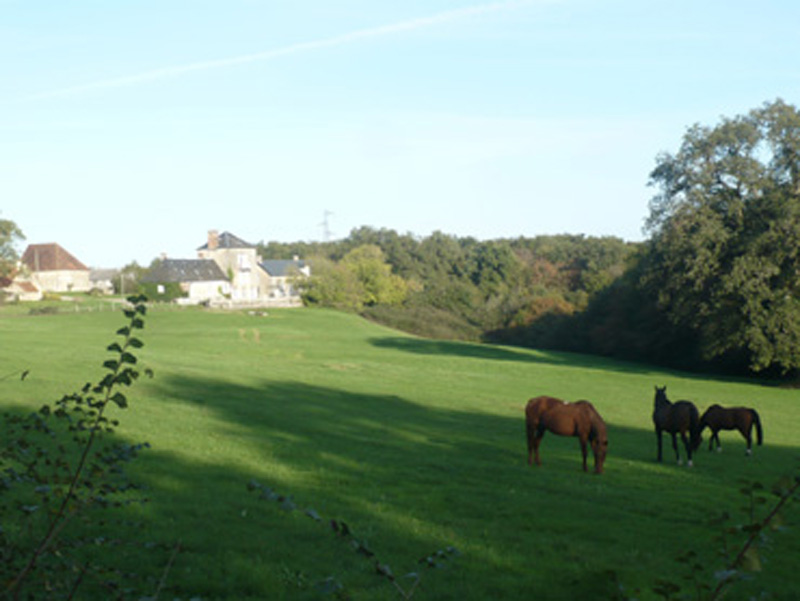 Montgenoux-chevaux M et Mme Beaudouin