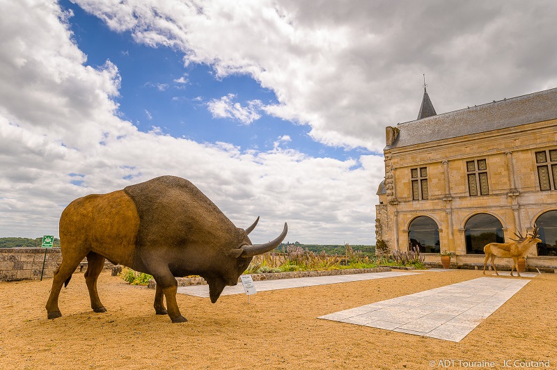 Musee_Prehistoire_Grand_Pressigny_Cour_Bison_Credit_ADT_Touraine_JC_Coutand Jean-Christophe COUTAND