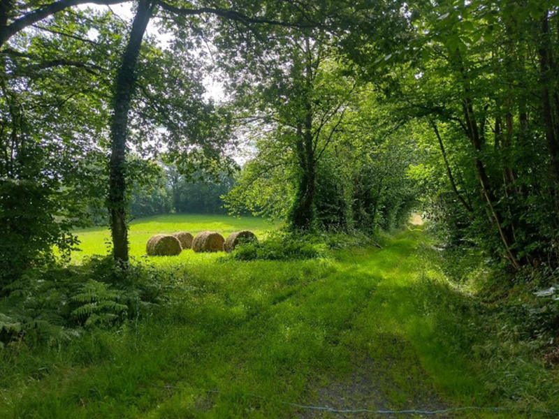 Observatoire du bocage 2025 Van Ingen