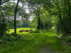 Observatoiredubocage2025