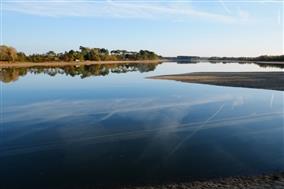 juillet-Octobre-étang-Jean-PierreBarbat