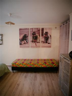 P1170708 ©GuillaumeBeloeil