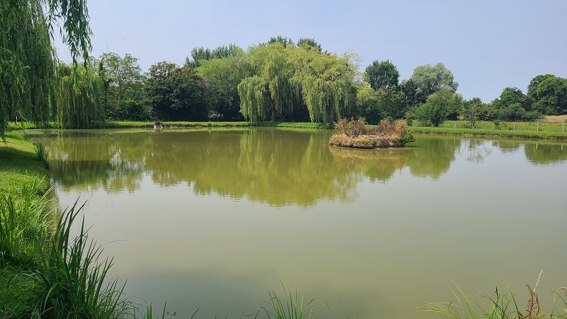 PAULNAY-étang communal (2) ©VLM - Destination Brenne