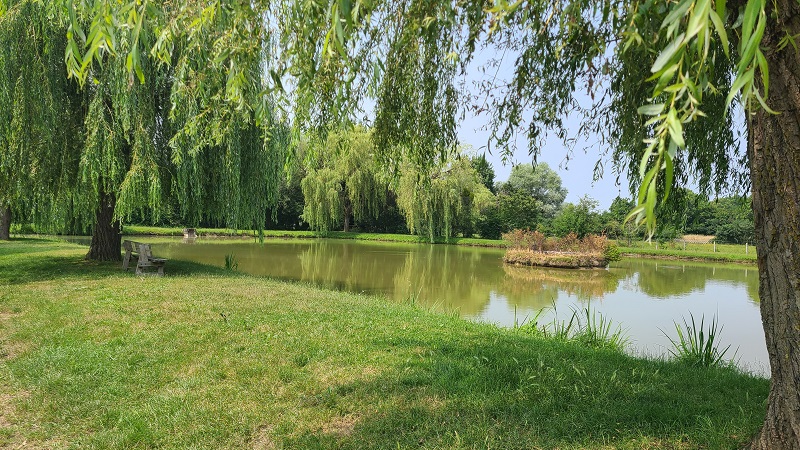 PAULNAY-étang communal (3) ©VLM - Destination Brenne