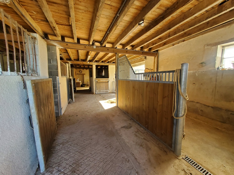 Paulnay-Baraudière-avril2025mm (site) (6) ©destinationbrenne