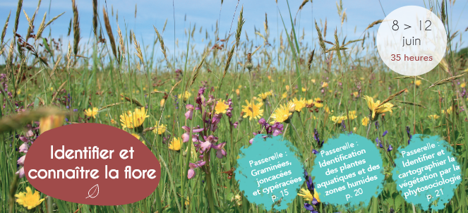 CPIE identifier la floreshot 2026-02-10 at 16-32-47 Catalogue-2026-NUM.pdf COIE Brenne Berry