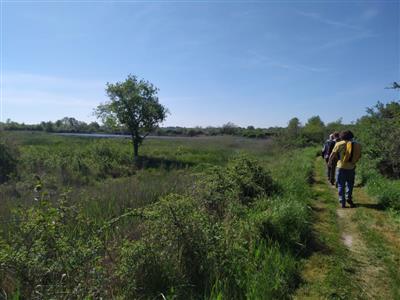 Terres de renard mai2023gb 3