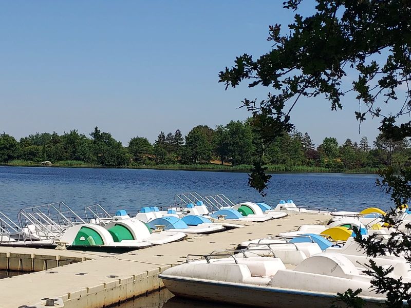 pedaloImage 2025-06-21 à 17.51.13_59dab294 cityinn36