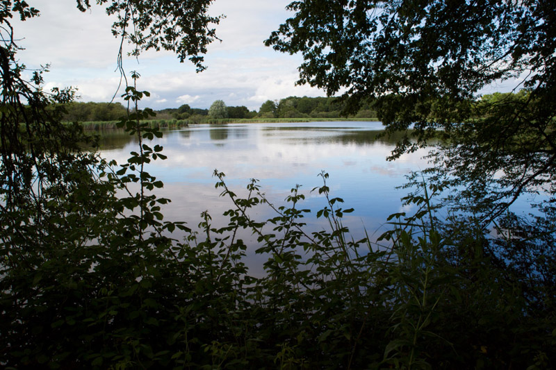 Le village des forgerons - Vue sur l'étang de Malakoff © Hellio - Van Ingen