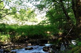 bocage-cpiebrenneberry