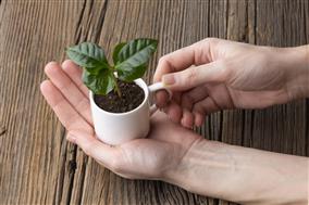close-up-hand-holding-cup-with-plant