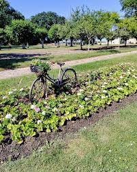 jardin azay 1 Château d'Azay-le-Ferron