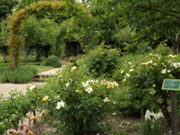 jardin azay 1 Château d'Azay-le-Ferron