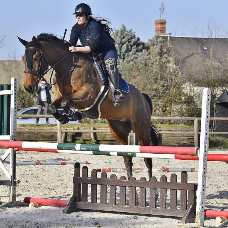 saut d'obstacles centre equestre
