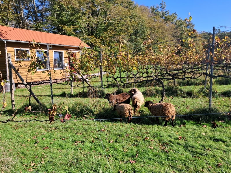 la barre 3 Destination Brenne