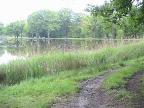 la-ronde-des-etangs-migne