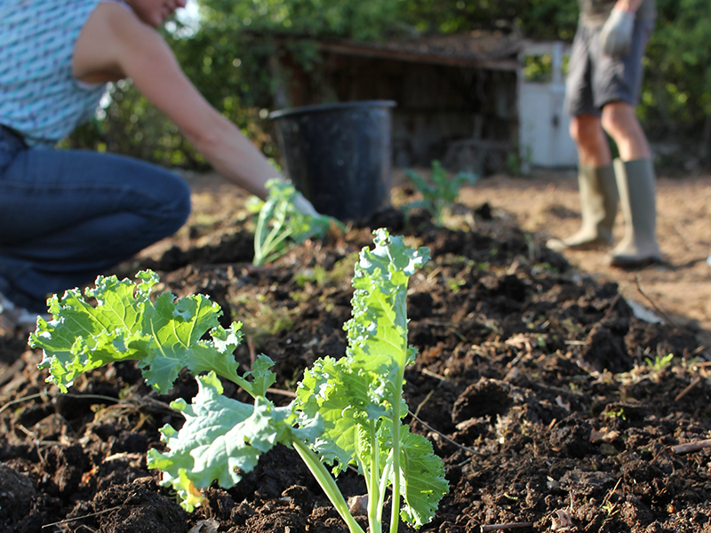 le jardin partage_fontgombault_36 