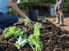lejardinpartage_fontgombault_36