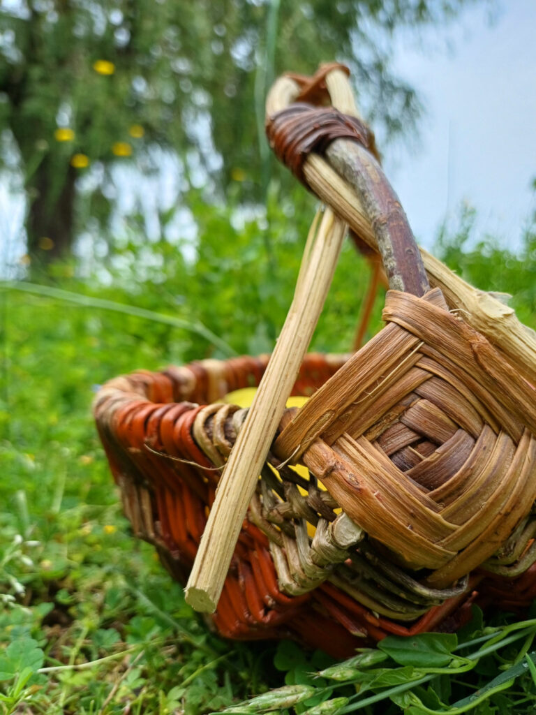 panier-768x1024 ©Seb le vannier
