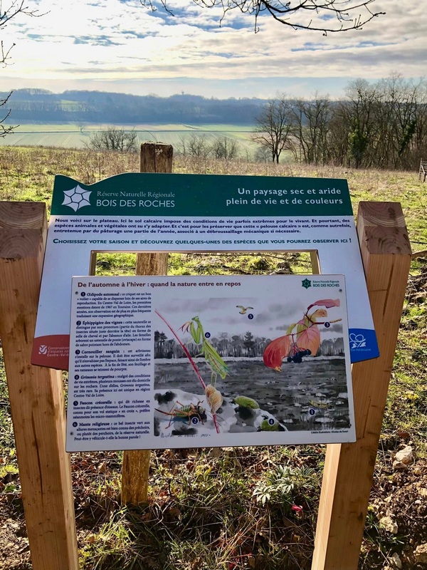 panneau_pelouse_RNR-Roches_ Michel_Prevost_2024 ©Conservatoire d'Espaces naturels Centre-Val de Loire