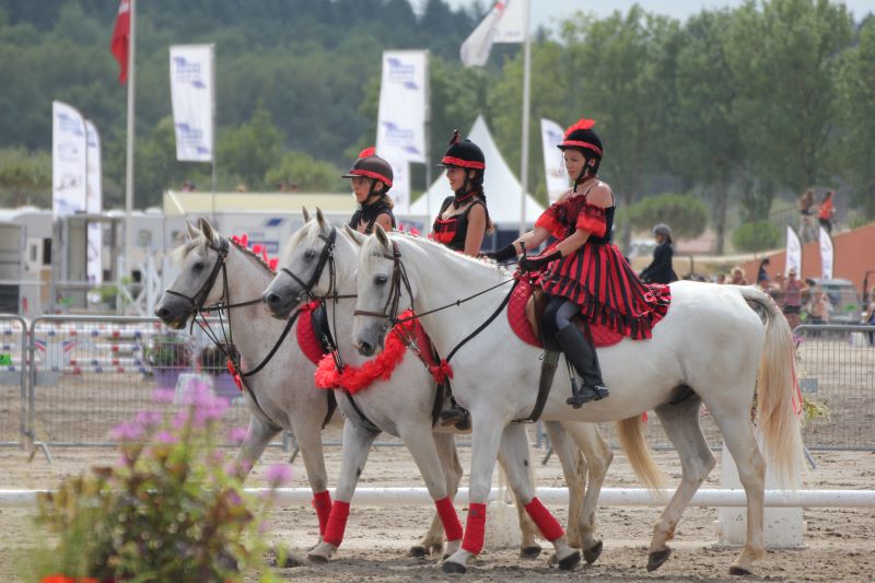 caroussel centre equestre