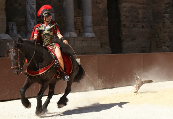 romain_6 ©Hippogriffe