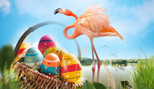 rzht_paques_2048x975pix2 Reserve de la Haute Touche