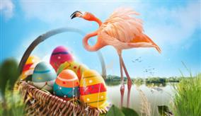 rzht_paques_2048x975pix2