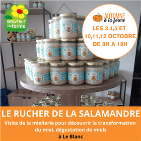 LeRucherdelaSalamandre