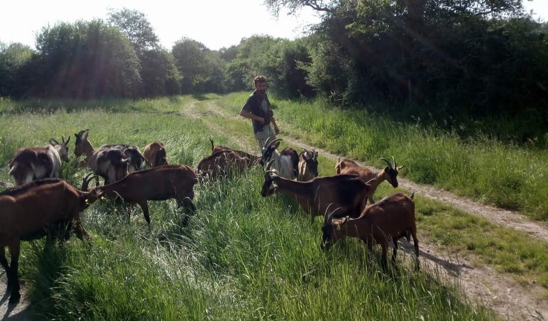 whatsapp_image_2023_05_30_at_14_05_42 