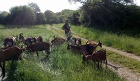 whatsapp_image_2023_05_30_at_14_05_42